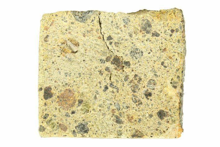 Diogenite Meteorite ( g) Slice - From Vesta Micro-Planet! #291738
